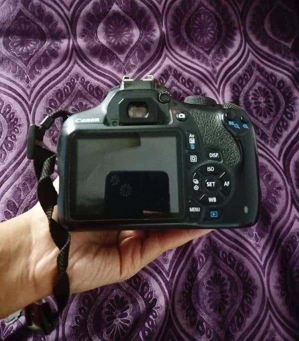 Canon 1200D 10/10 Excellent camera for Photography 1