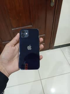 iPhone 12 0