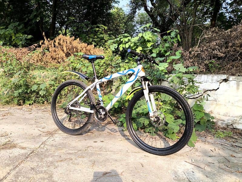 Mountain bicycle for sale 1