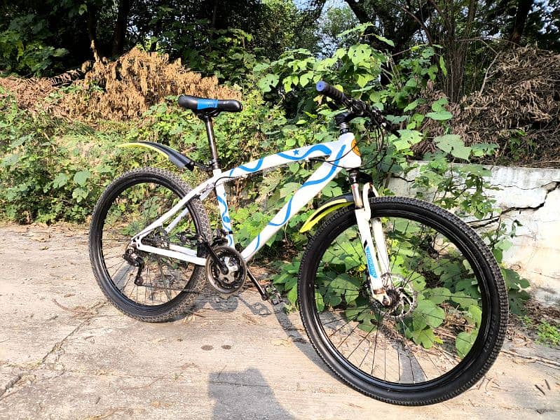 Mountain bicycle for sale 2