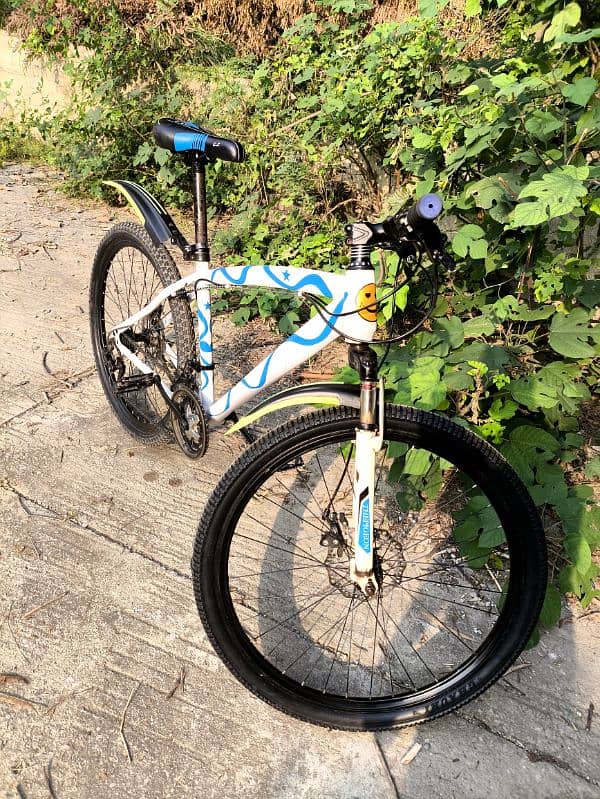 Mountain bicycle for sale 6