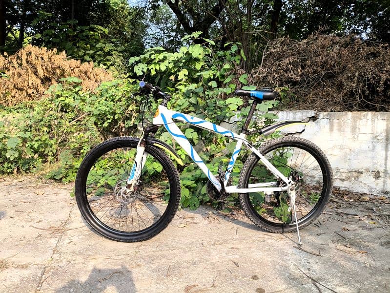 Mountain bicycle for sale 7