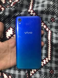 vivo