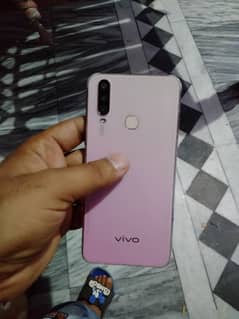 vivo