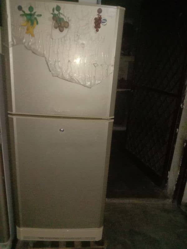 pel company fridge good condition 1