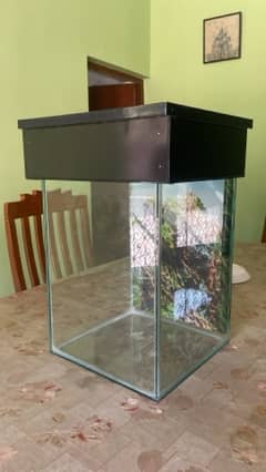 2ft aquarium 6mm glass (all stuff)