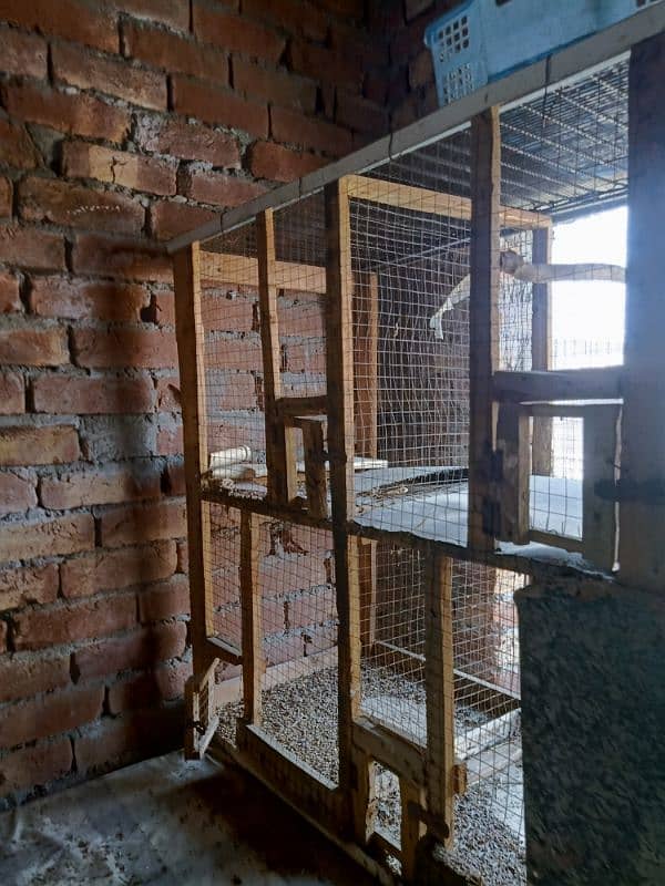 Iron cage,wooden cage & cocktail with iron cage 03200486988 12