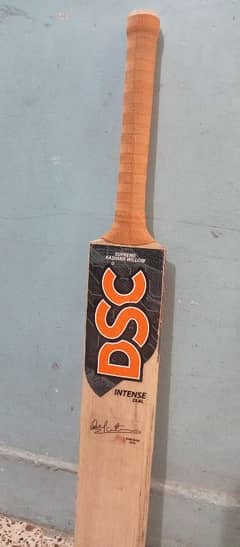 DSC Kashmir willow bat orignal