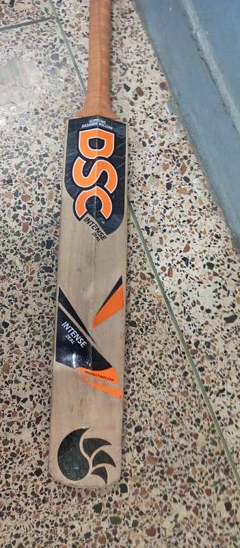 DSC Kashmir willow bat orignal 2