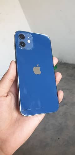 iphone 12 (jv)