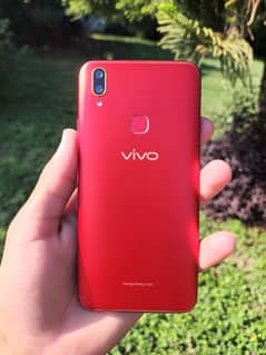 VIVO