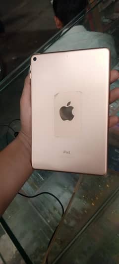 iPad mini 5