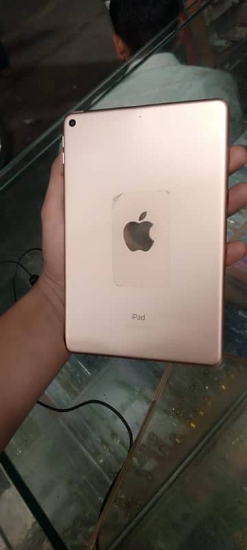 iPad mini 5 0