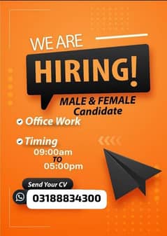 we are hiring male and female