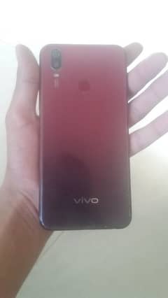 vivo