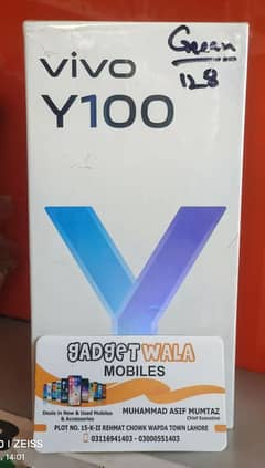 VIVO