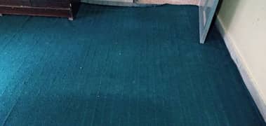 Carpet for sale