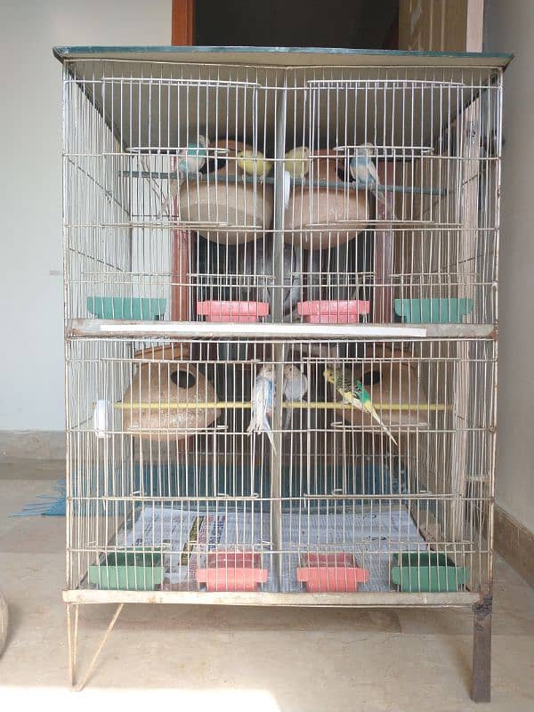 Budgies With Cage 0