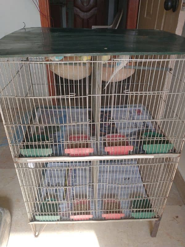 Budgies With Cage 1