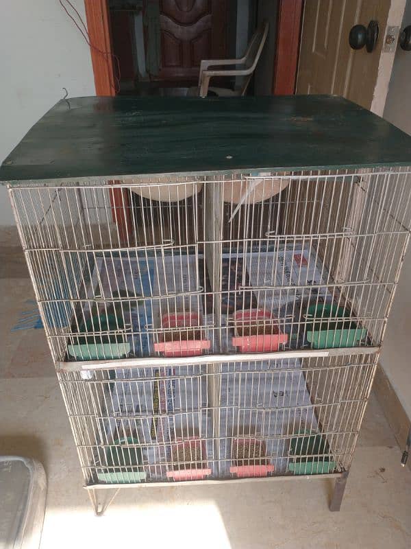 Budgies With Cage 2