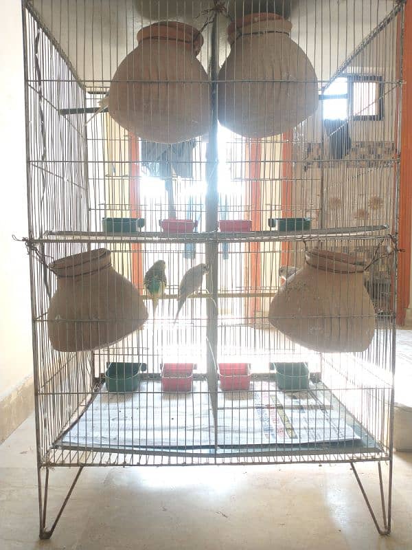 Budgies With Cage 3