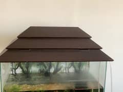 fish aquarium  tank