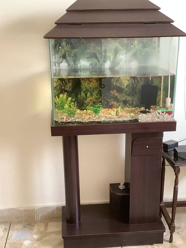 fish aquarium  tank 1