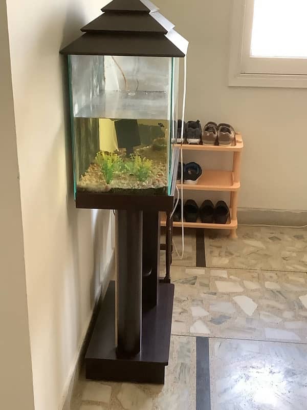 fish aquarium  tank 2