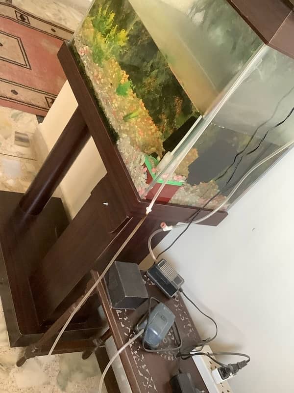 fish aquarium  tank 6