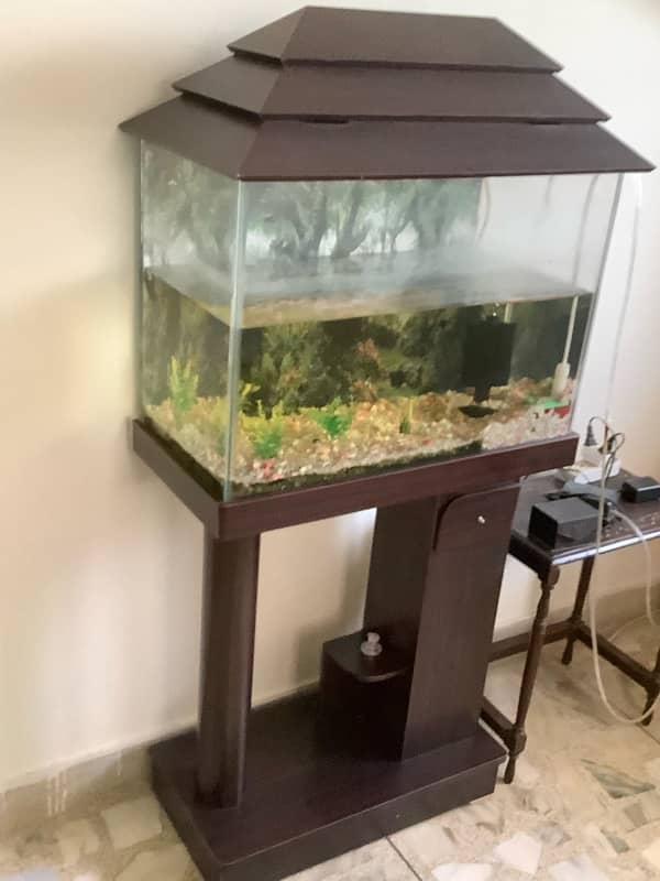 fish aquarium  tank 9