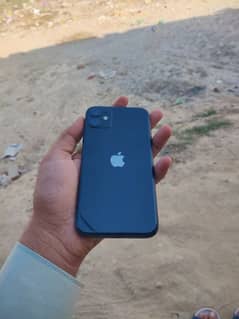 IPHONE 11 NON PTA 10/10