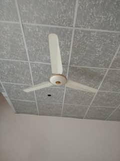 Ceiling fan for Urgent sale