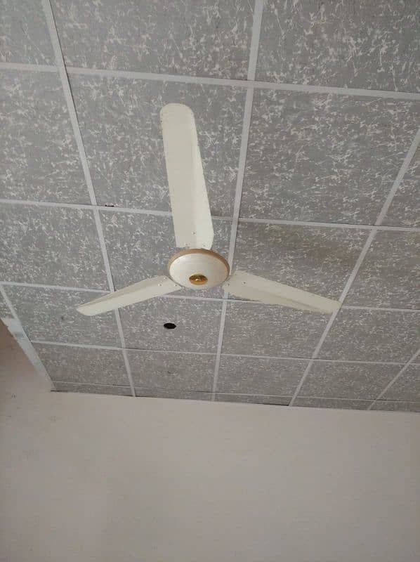 Ceiling fan for Urgent sale 1