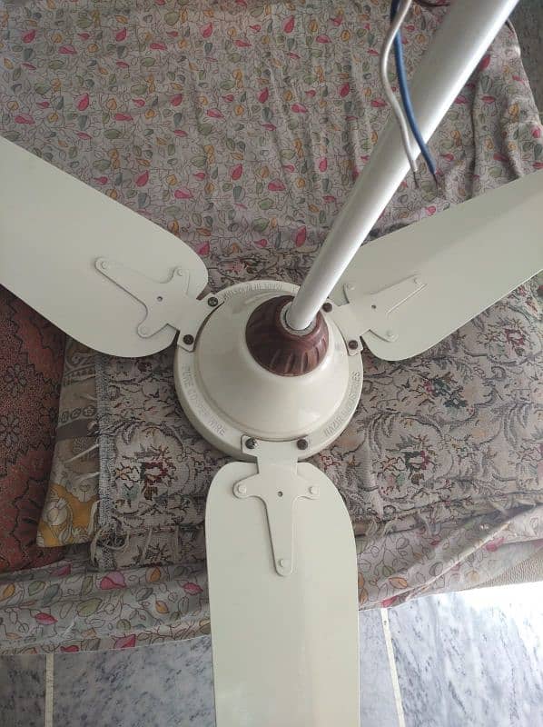 Ceiling fan for Urgent sale 2