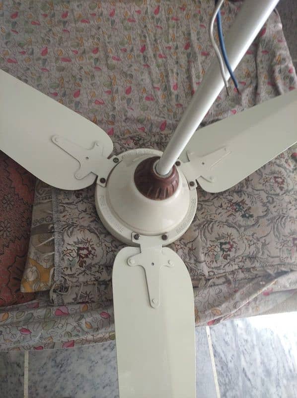 Ceiling fan for Urgent sale 3