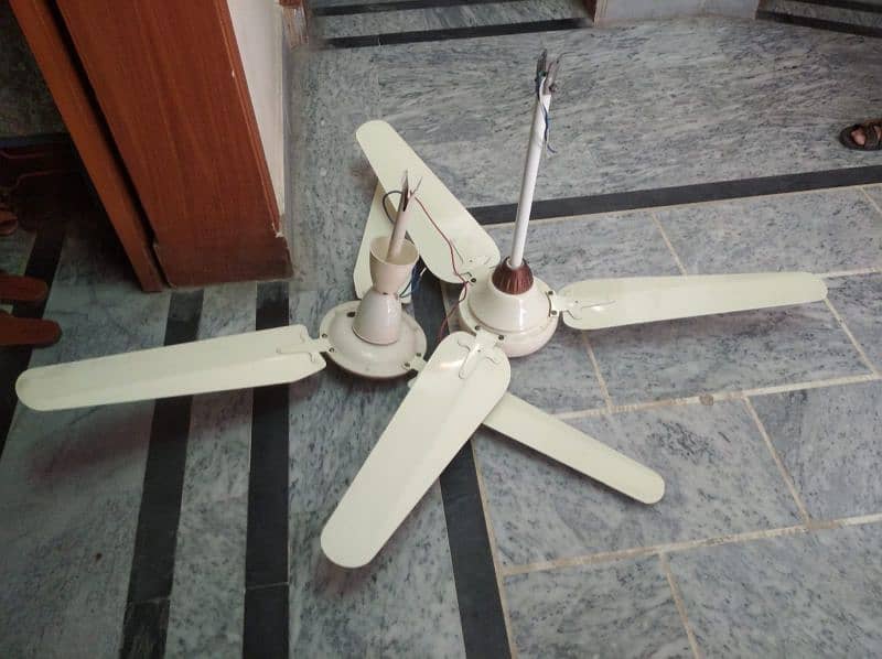 Ceiling fan for Urgent sale 5