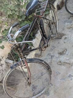 cycle for sale