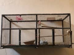 cage for birds