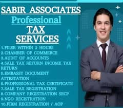 Professional Tax Services 0