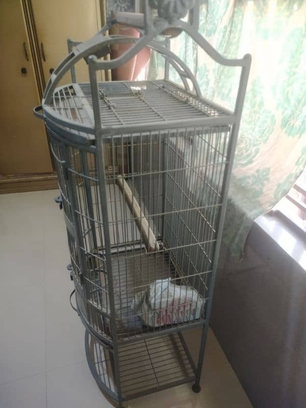 brand new condition cage 2