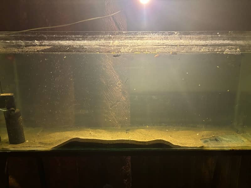 40  Gallons aquarium up for sale 0