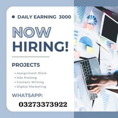 Online Work Opportunity! Earn Daily 3000pkr