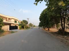 1 Kanal 60 Feet Road Best Location Near Park Mosque And Wapda Around About 0