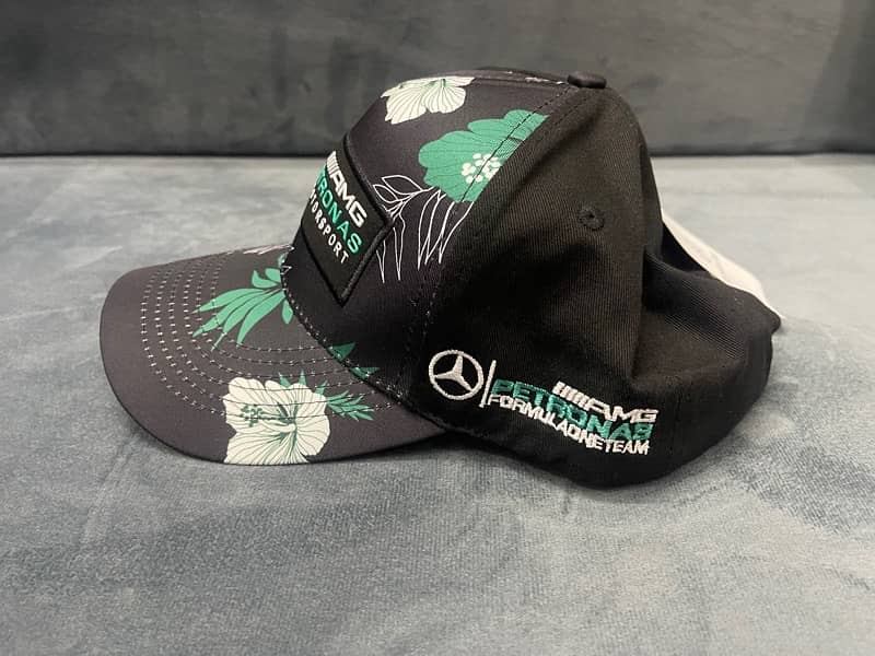 F1- Mercedes AMG Petronas 2