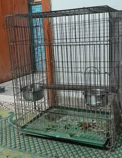 parrot cage