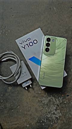 vivo