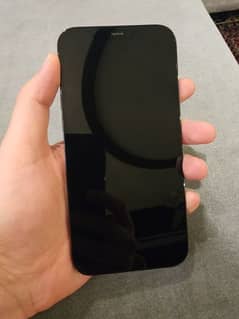 Iphone 12 pro max PTA Approved