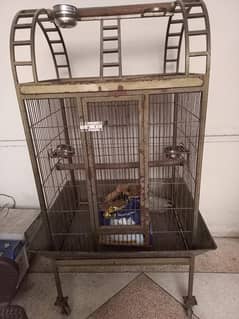 parrot cage ## 03054004300only Whatsapp