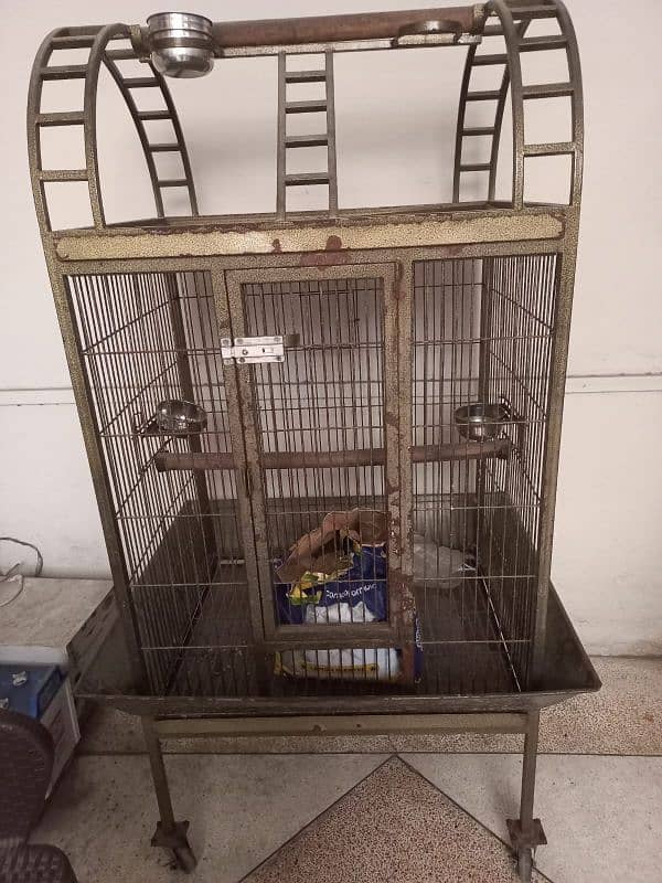 parrot cage ## 03054004300only Whatsapp 0