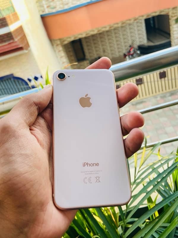 IPHONE 8 GENUINE 0